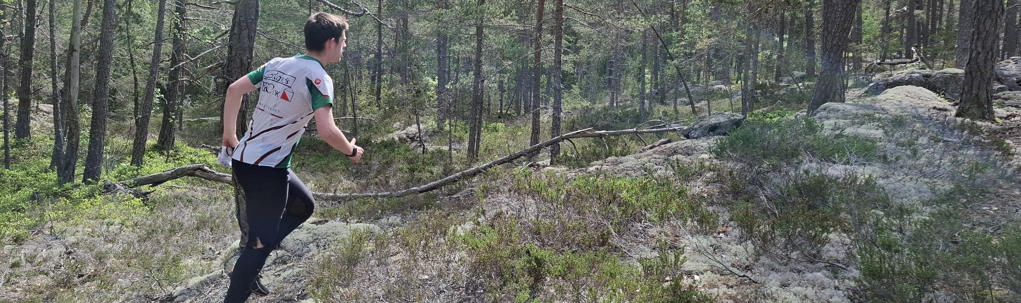Långsmal Bild Jocke 2