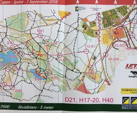 Sol och snabba stigar på MTBO-avslutningen