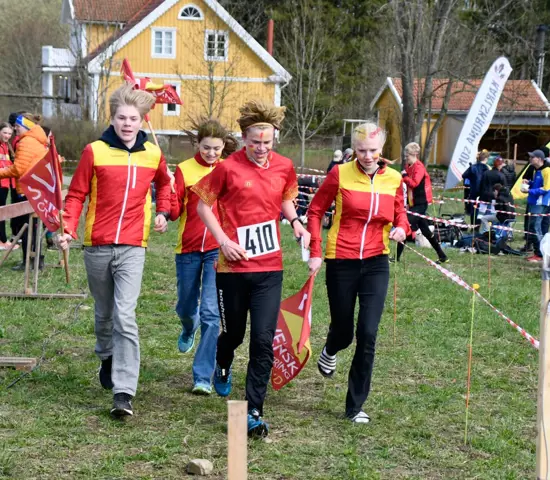 Småland Mot Mål