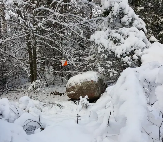 Kontroll I Snön Inför Tomteol