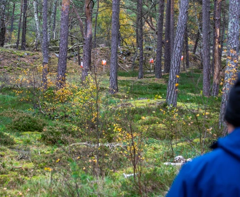 Foto från PreO stafett SM 2023