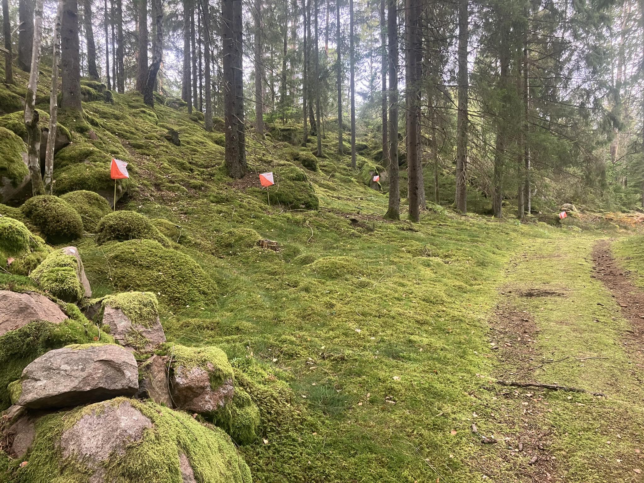 6509D733 623D 42Ca B9d2 5Ef07d6db2d7