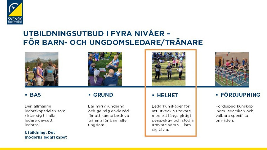 Bild på utbudet av tränarutbildningar i fyra nivåer - tredje nivån i fokus som kallas helhet