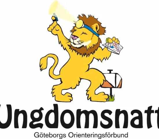 Ungdomsnatt 550