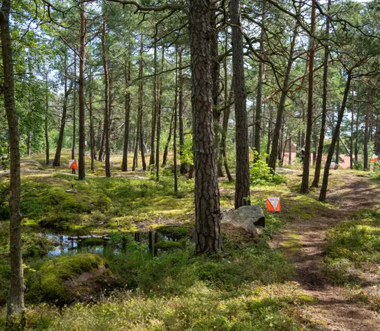 Preo Oringen Hugomattsson