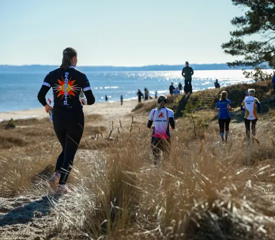 Skåneslätten Havet